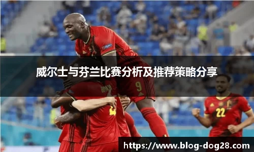 威尔士与芬兰比赛分析及推荐策略分享