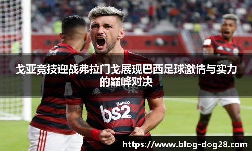 戈亚竞技迎战弗拉门戈展现巴西足球激情与实力的巅峰对决
