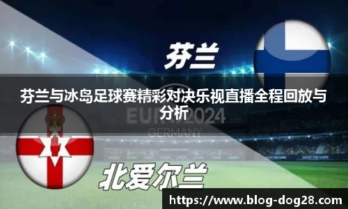 芬兰与冰岛足球赛精彩对决乐视直播全程回放与分析