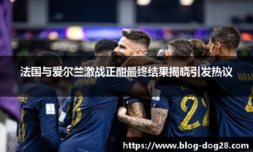 法国与爱尔兰激战正酣最终结果揭晓引发热议