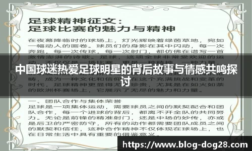 中国球迷热爱足球明星的背后故事与情感共鸣探讨